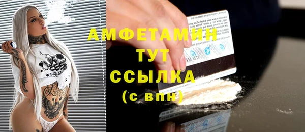 прущие грибы Алзамай